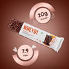 Protein Bar- Whey91